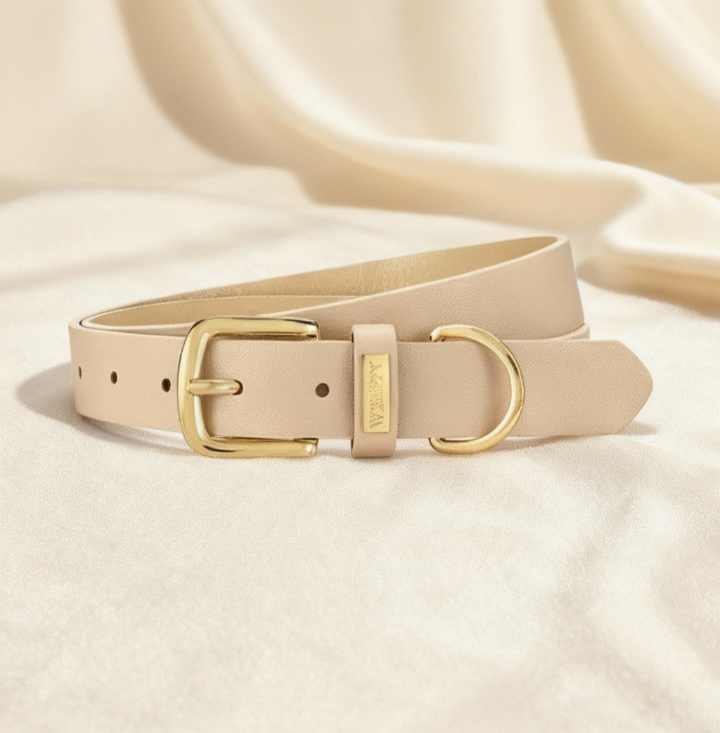 The Curved Elegance Belt